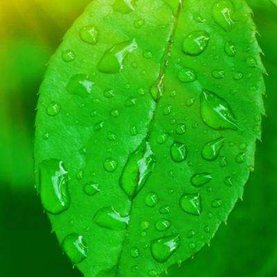 绯雨骑士团h5在线玩下载