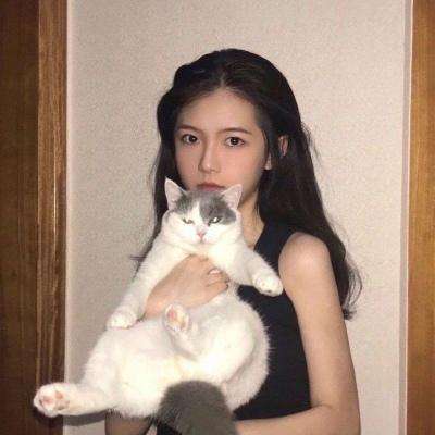 圣光之约国际服下载